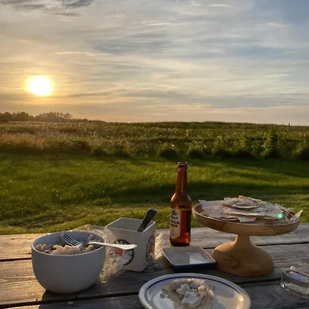 Lejlighed Lofoten - Sigurdbua *