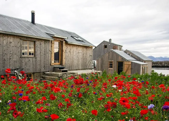 Lofoten - Sigurdbua *